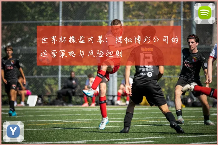 世界杯操盘内幕：揭秘博彩公司的运营策略与风险控制