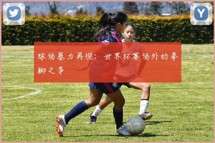 球场暴力再现：世界杯赛场外的拳脚之争