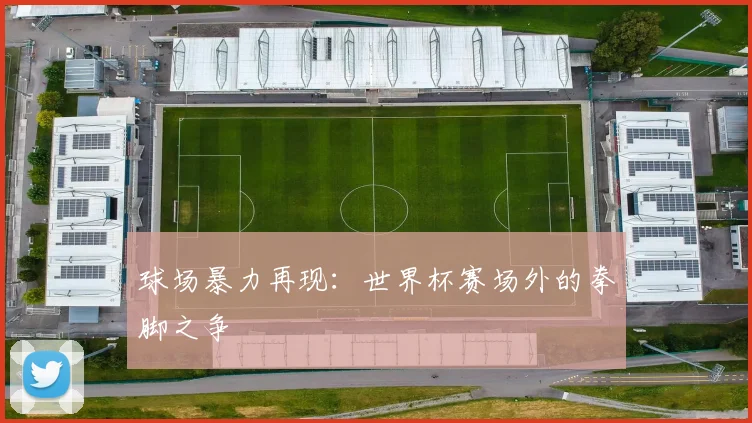 球场暴力再现：世界杯赛场外的拳脚之争
