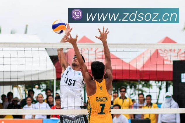 乐鱼官网手机网页版APP 封面图